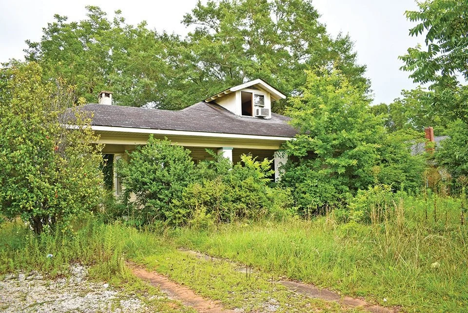 Home with overgrown vegetation